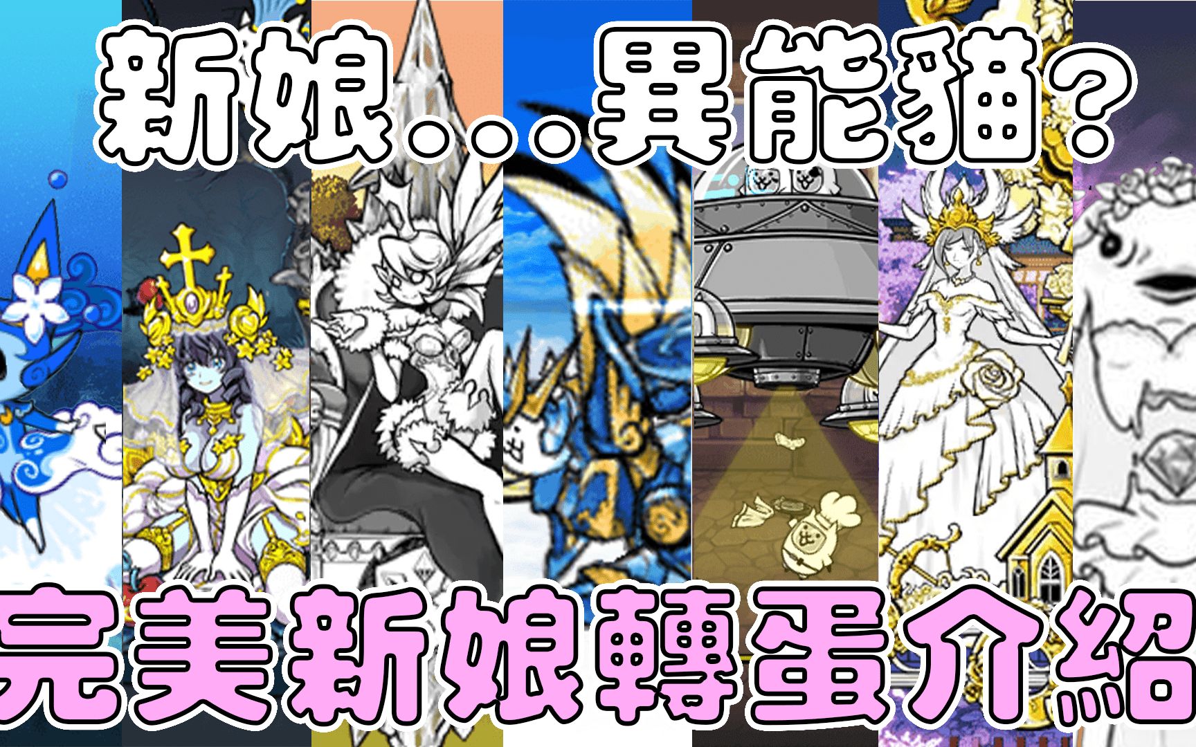 【猫咪研究室】新娘又来了！这次结婚的是...不明猫！ ？完美新娘转蛋介绍！ 《水羽 ほむら》【猫咪大战争】