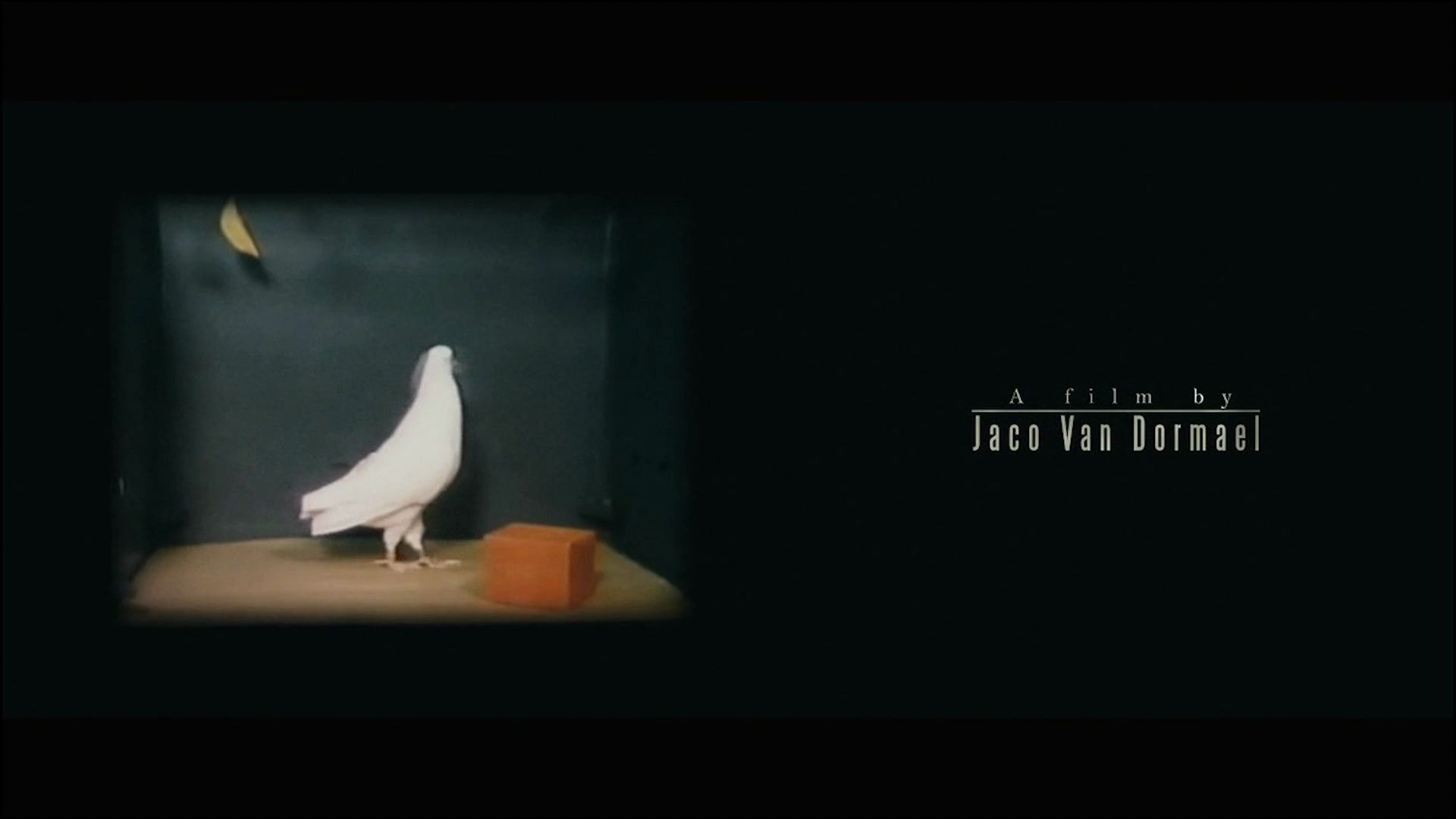 【鸽子的迷信行为】无姓之人 Mr.nobody