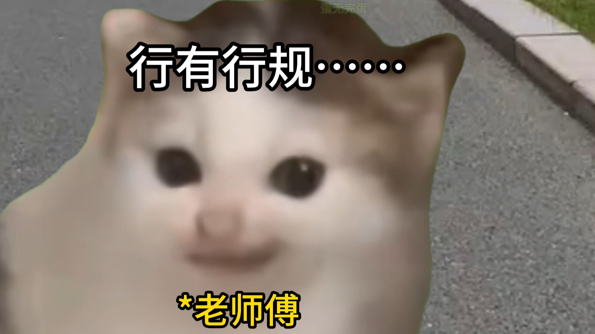 正所谓，行有行规……