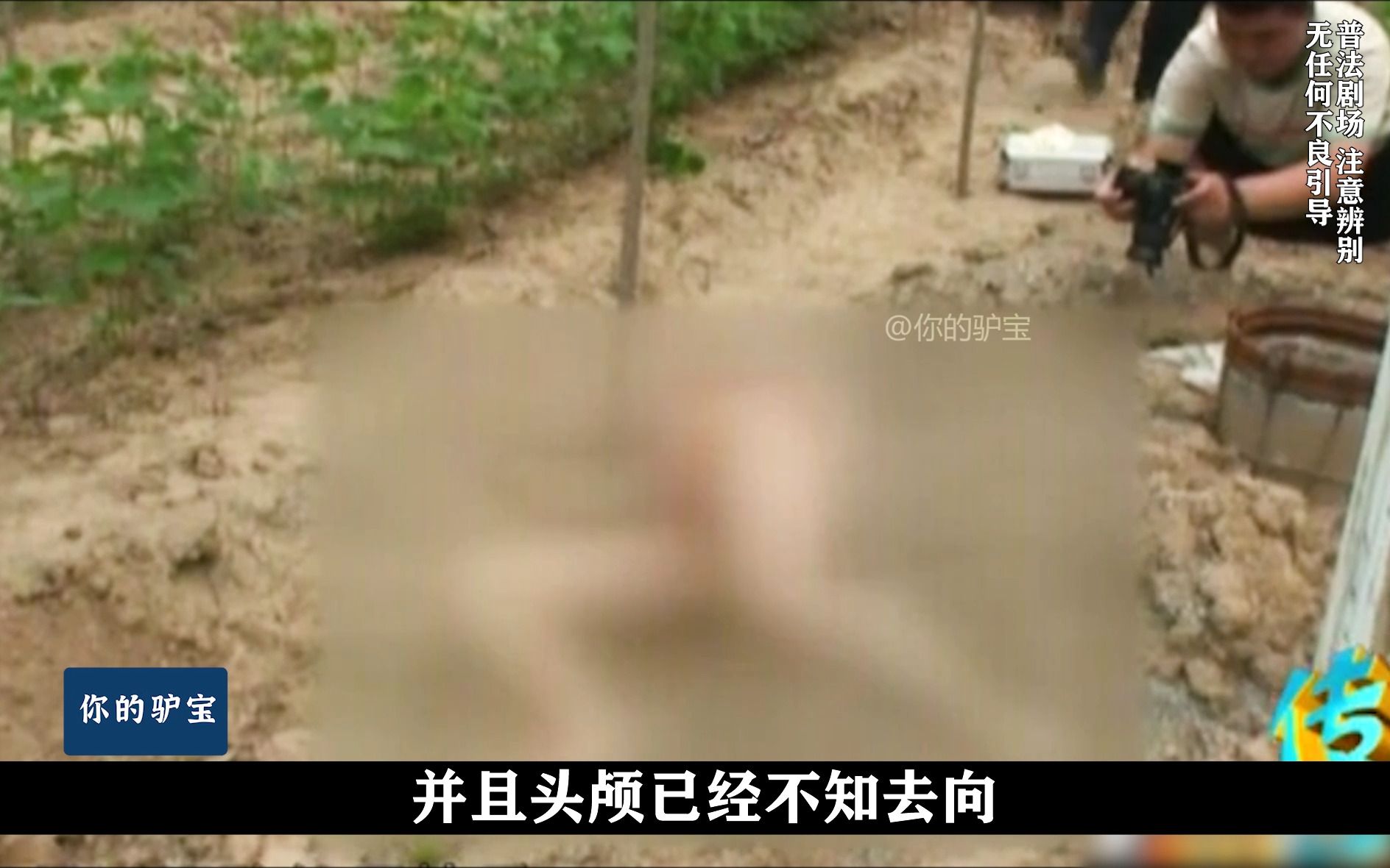荒地里惊现无头女尸，变态恶魔终究难逃法网