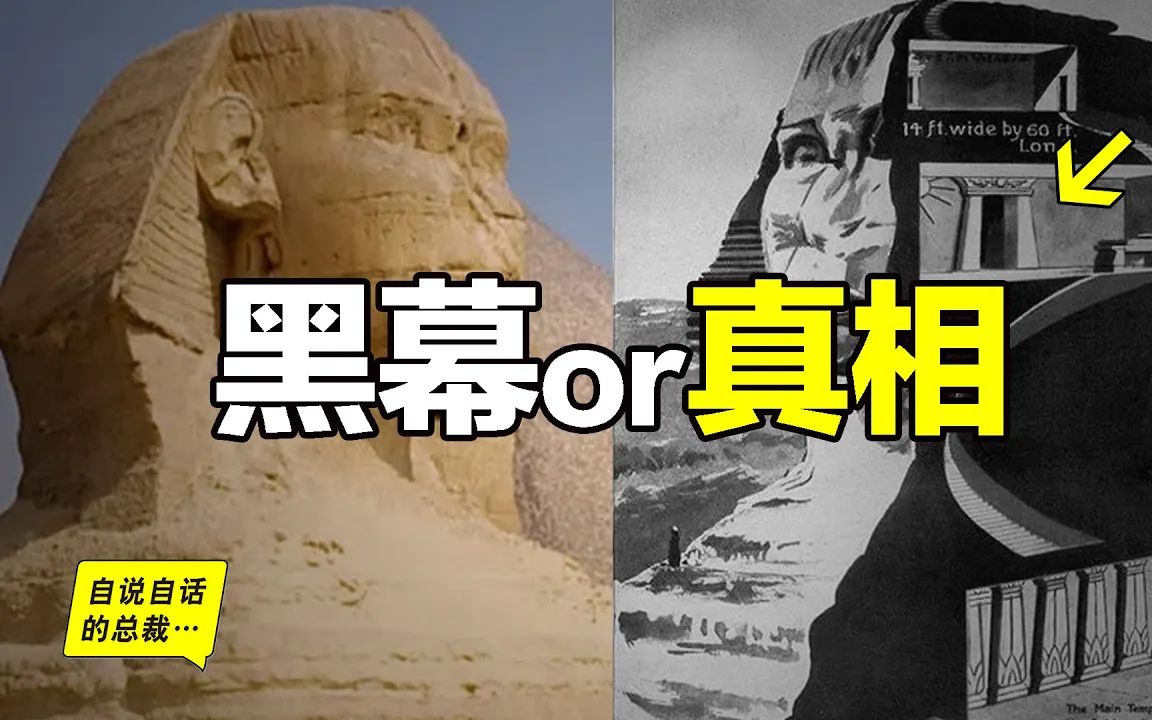 狮身人面像之谜：1990年，一位地质博士来到埃及，他揭开黑幕一角，却落得身败名裂，但他没有放弃，黑幕逐渐千疮百孔，而究竟谁在掩盖真相？这可能是一个不能说的秘密…
