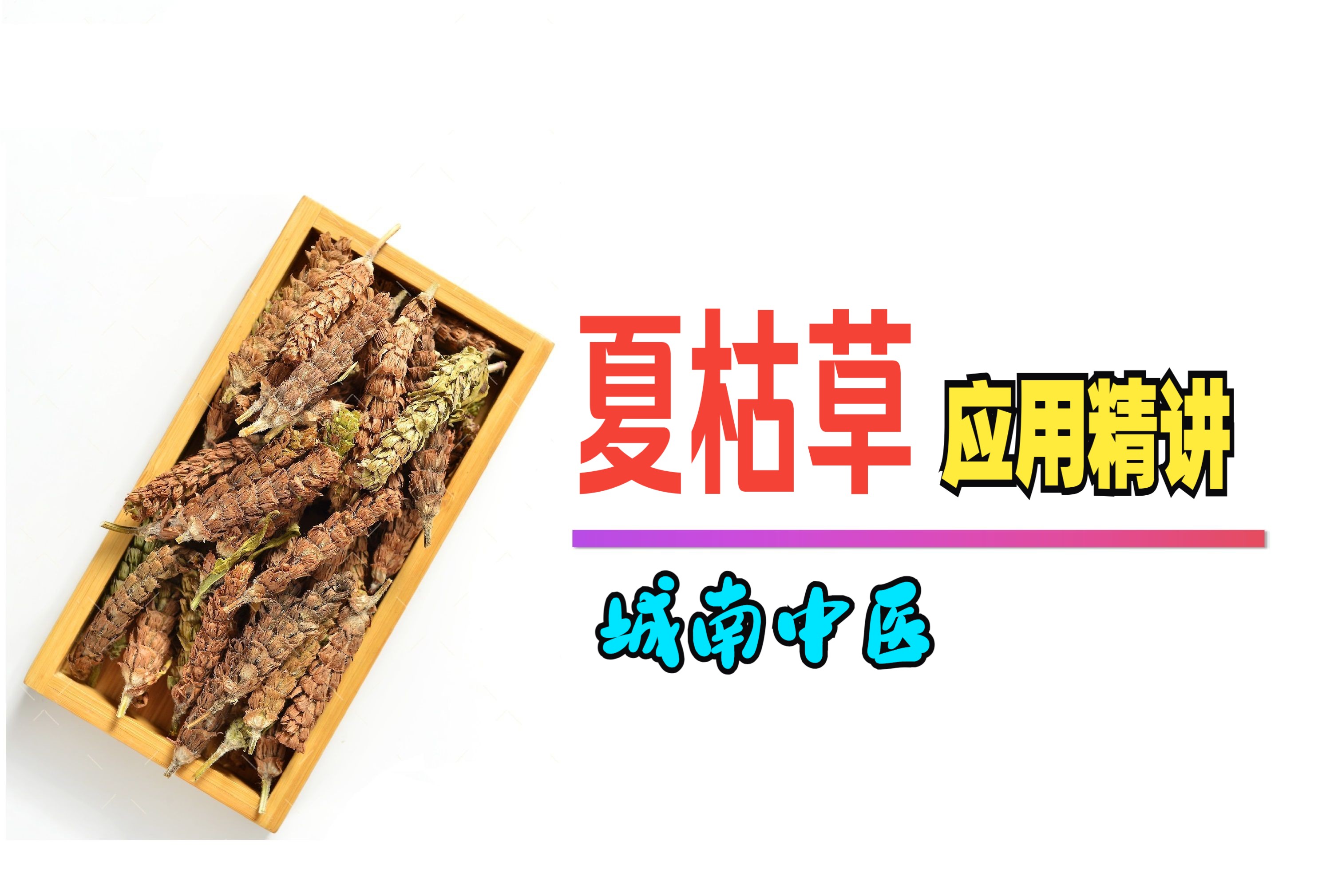 夏枯草：临床应用精讲，城南中医。
