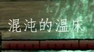 金曲365里路指名代言人，魂游BOSS设计天花板，宫崎英高出道即巅峰之作--混沌的温床