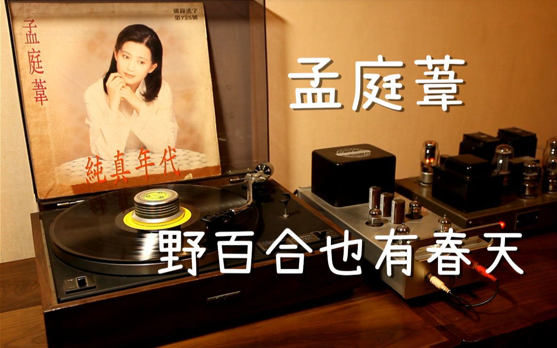 耳朵怀孕  孟庭苇 《野百合也有春天》 黑胶试听