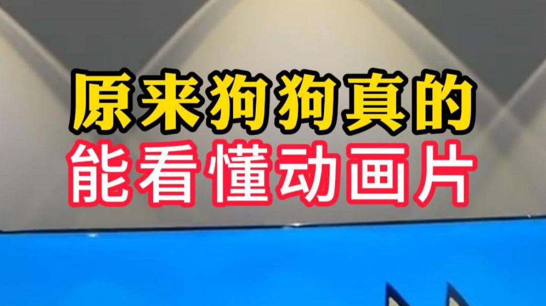 原来狗狗真的能看懂动画片