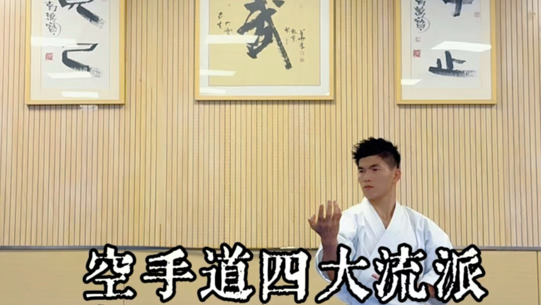 空手道四大流派型，你更喜欢哪一个