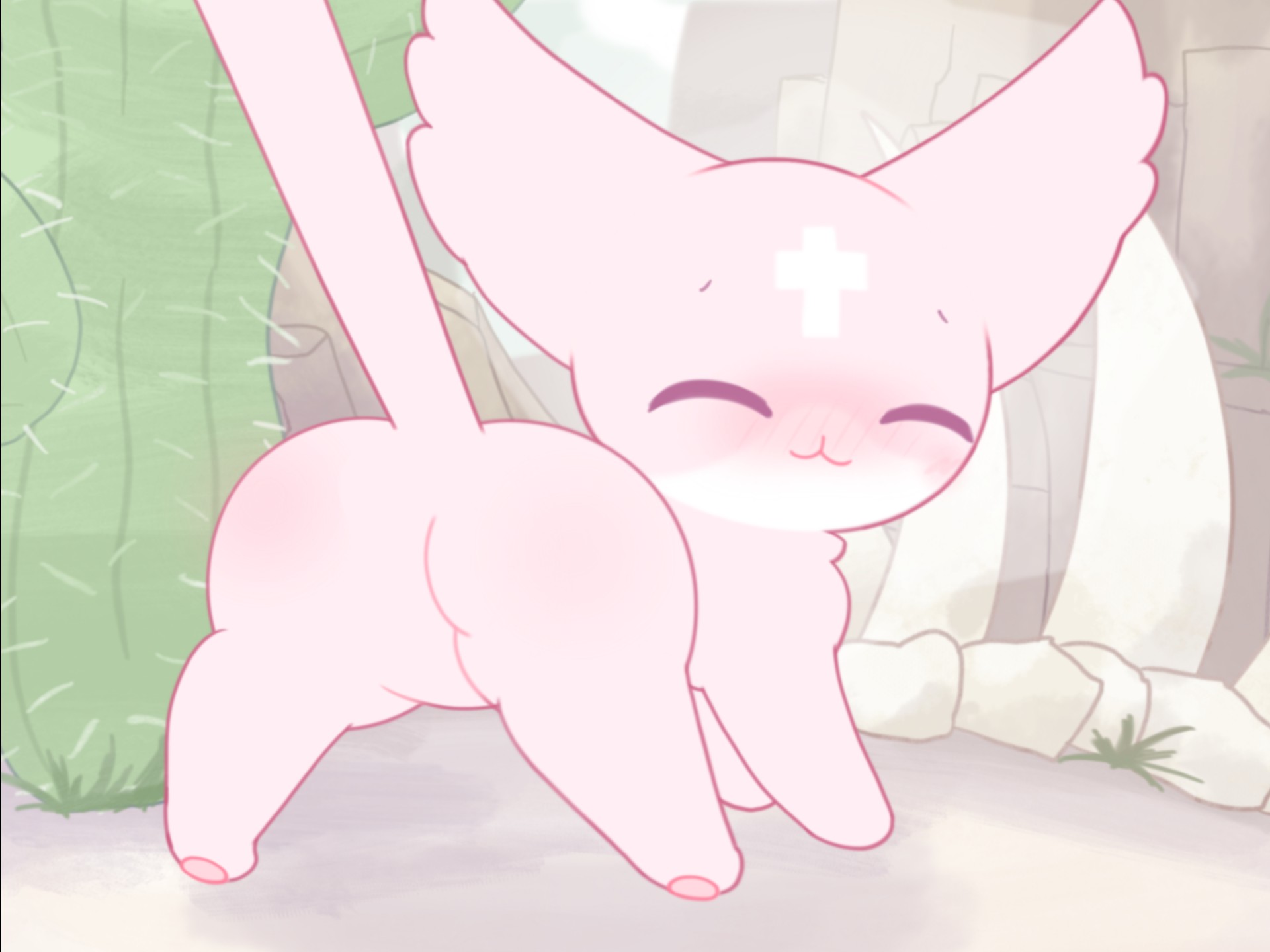 遭遇棉花糖