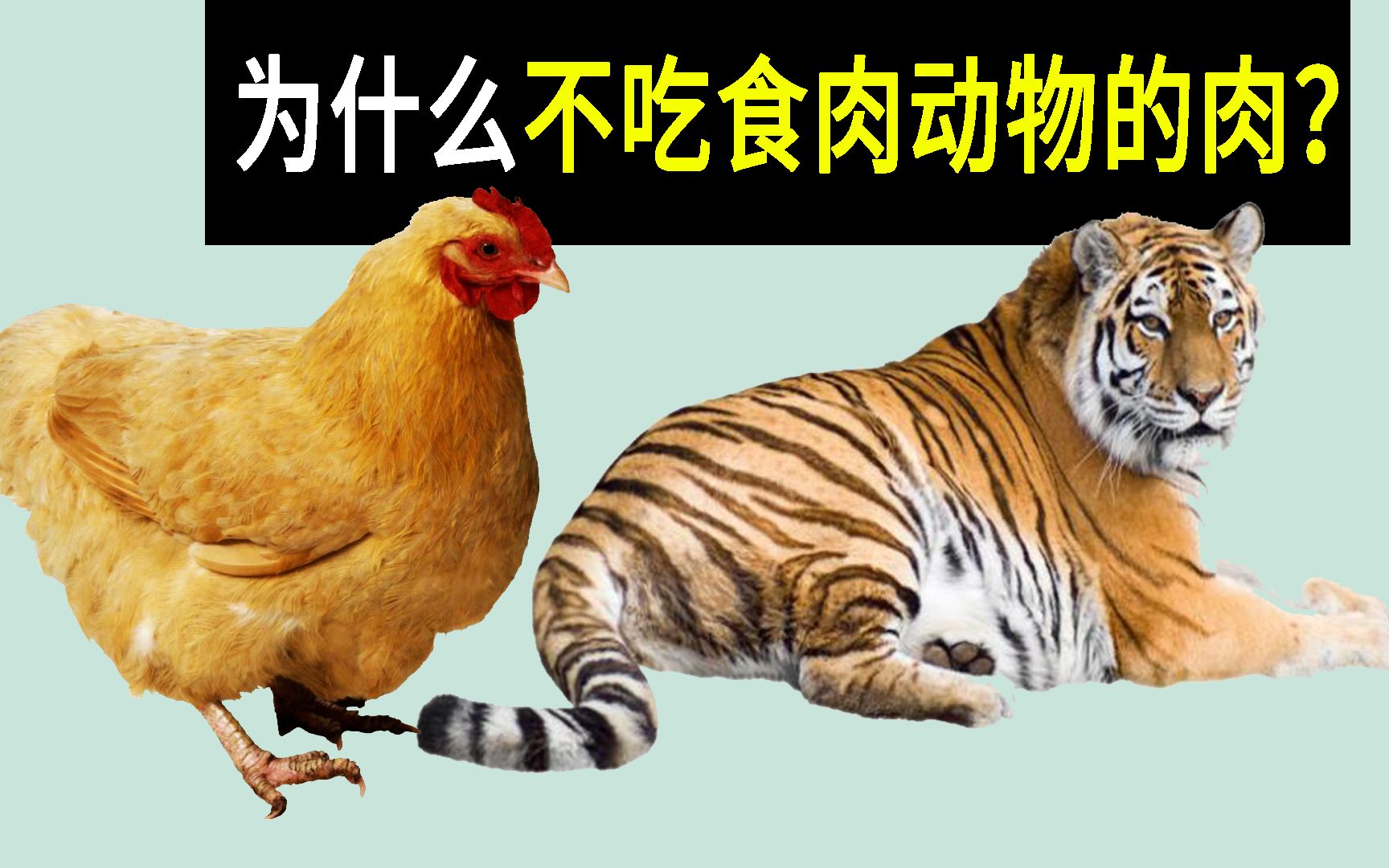 为什么人类很少吃食肉动物的肉？是不好吃吗？