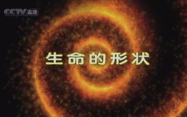 【记录片/CCTV】生命的形状（全8集）