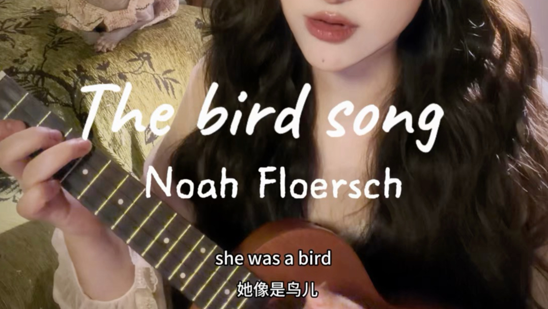 「The bird song」尤克里里版（这首歌夯爆了!）