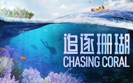 [纪录片/Netflix] 追逐珊瑚 Chasing Coral 2017 [1080p][中英字幕]