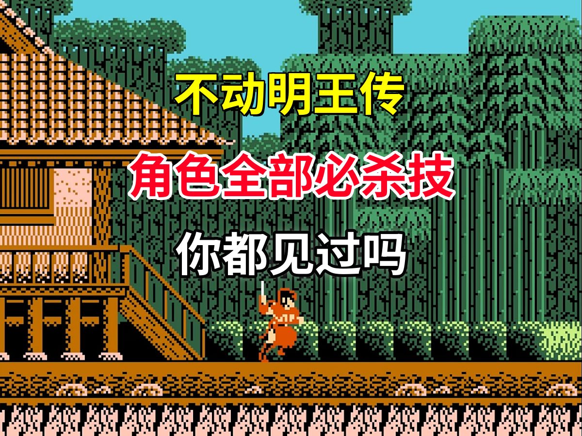 【不动明王传】角色全部必杀技你都见过吗——这是影子传说加强版？