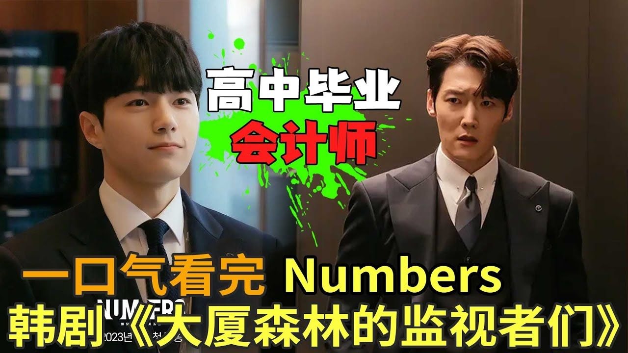 高中毕业入职顶级会计师事务所，只为寻找真相，韩剧《Numbers  大厦森林的监视者们》一口气看完
