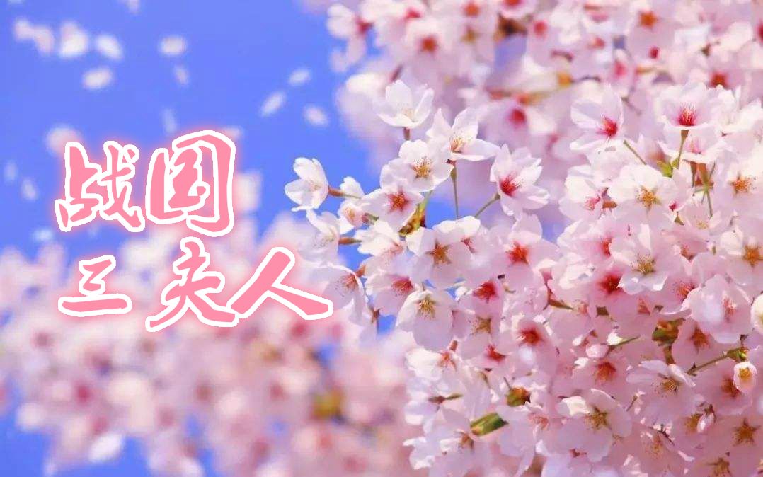日本战国武将录：战国三夫人 浓姬 宁宁 阿松 【蘭爸爸说故事】