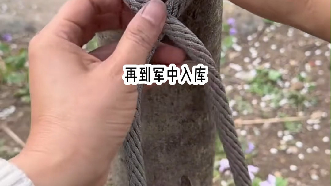 江山易主那年 宫里下旨让三品以上的官员将府中子女送入宫 每家只能留一个孩子 爹娘清楚 这是新皇要拿捏旧朝势力