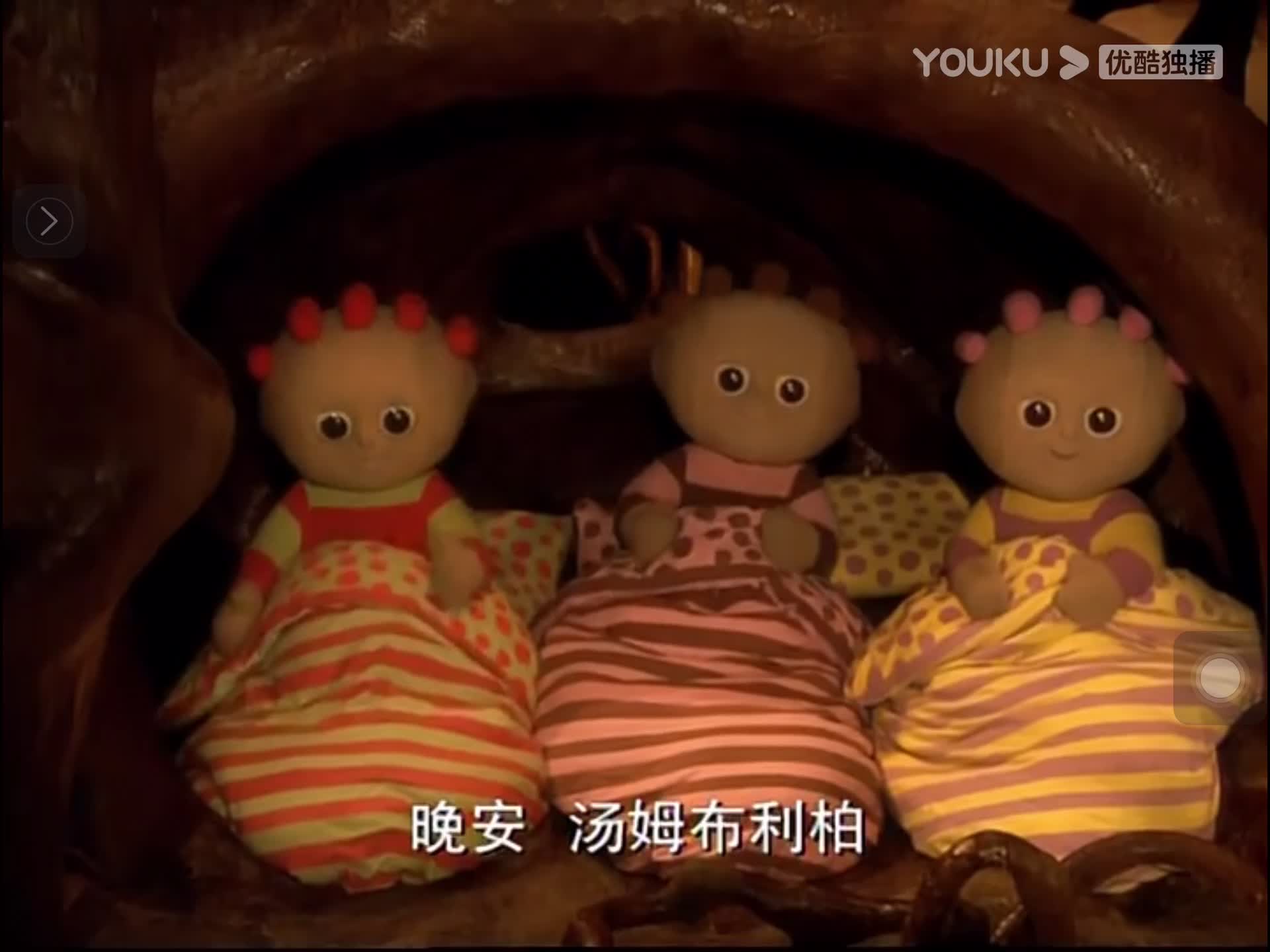 花园宝宝的每个人晚安来了！