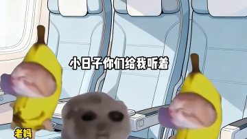 当你在飞往日本的飞机上唱这首歌时... 然后...#猫meme