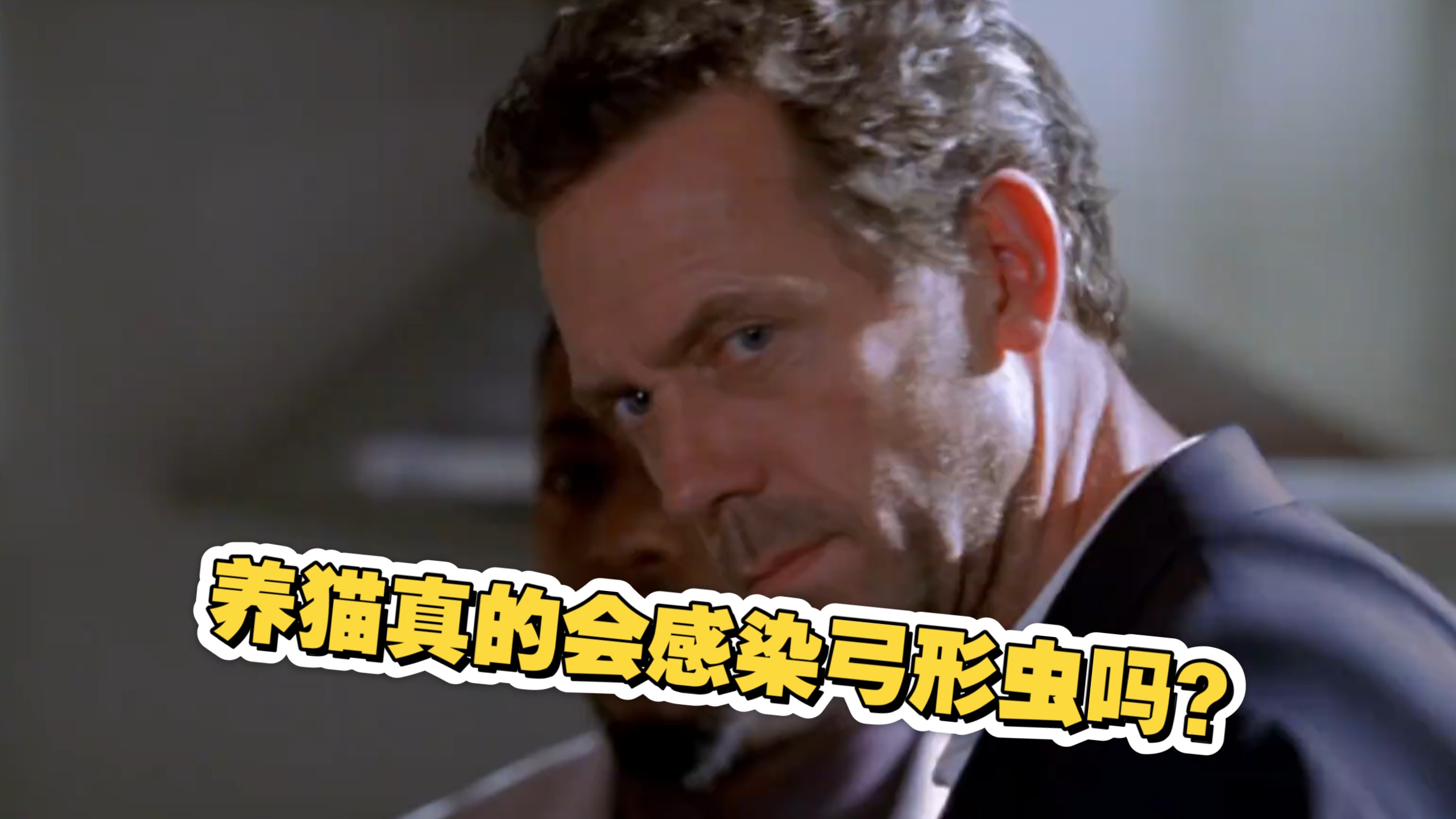 《豪斯医生》养猫真的会感染弓形虫吗？