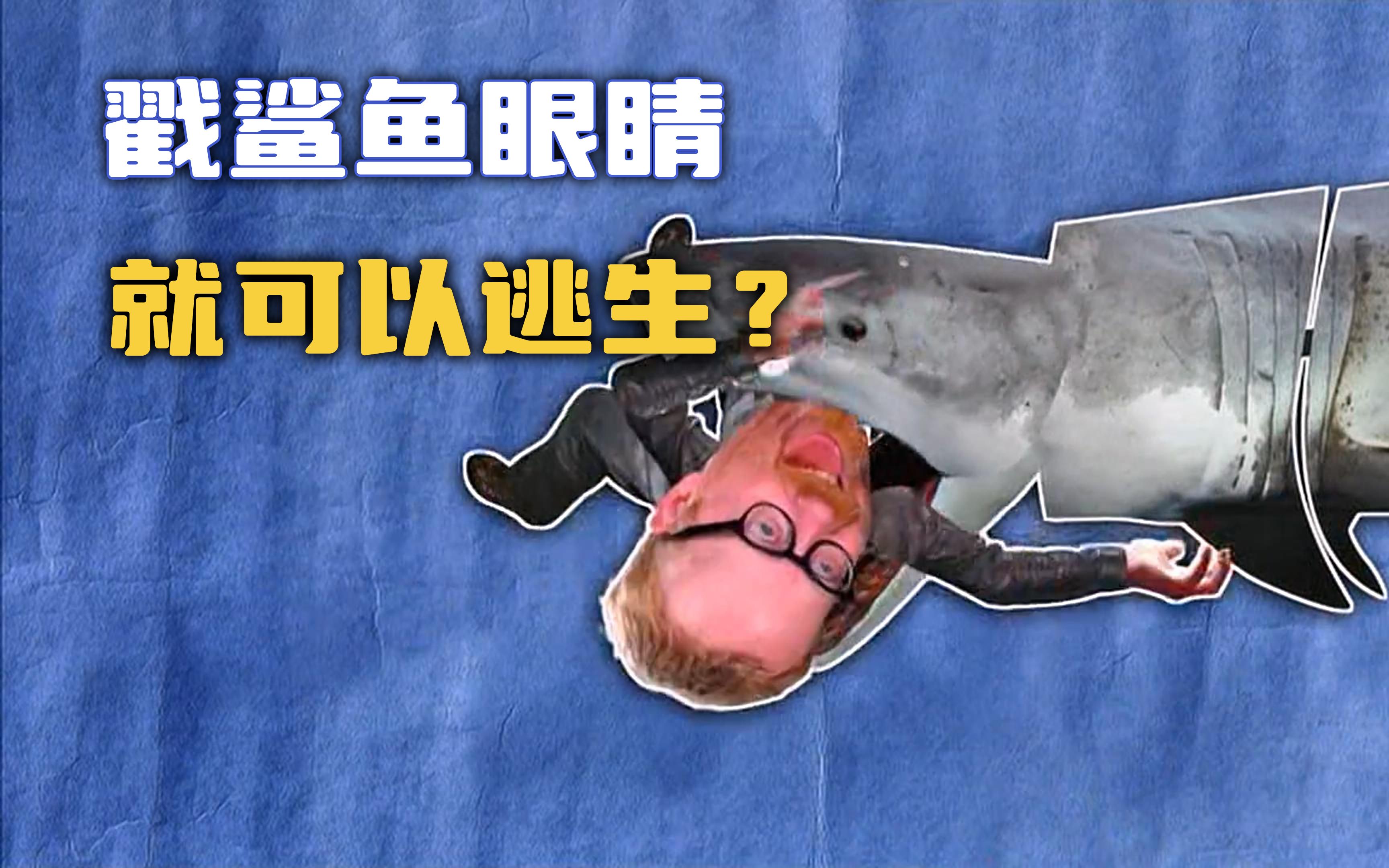 【流言终结者】被鲨鱼咬住后，戳鲨鱼眼睛就可以逃过一劫？