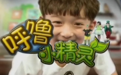 （大风车剧场）呼噜小精灵第一部 全集