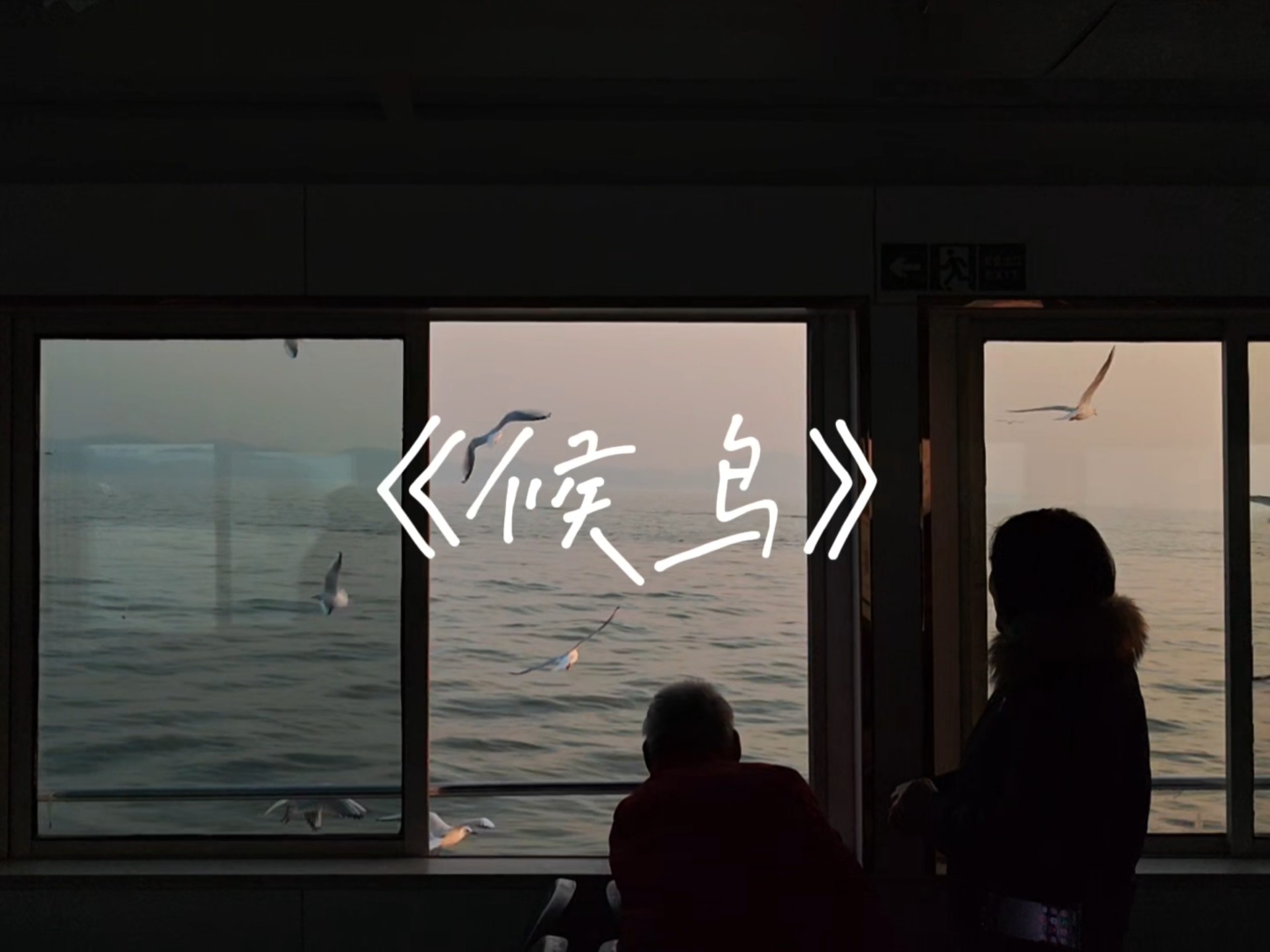 用一年的素材，去剪一首五月天的《候鸟》vlog