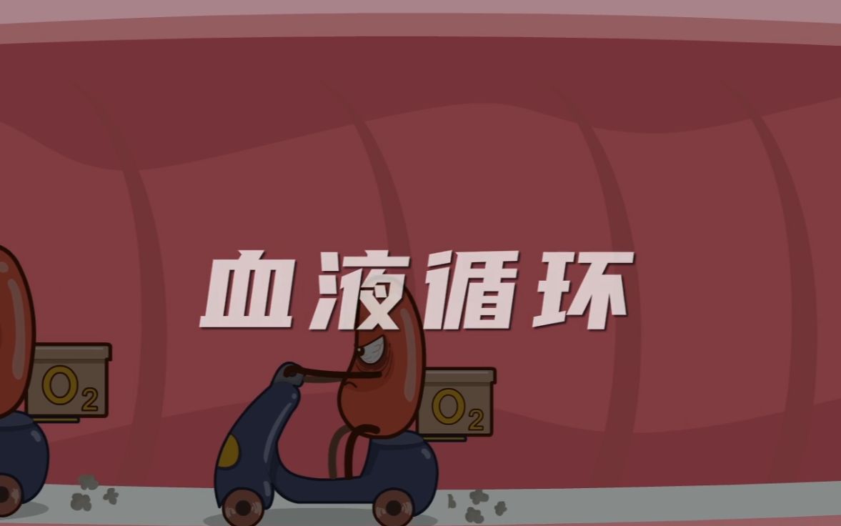 血液循环