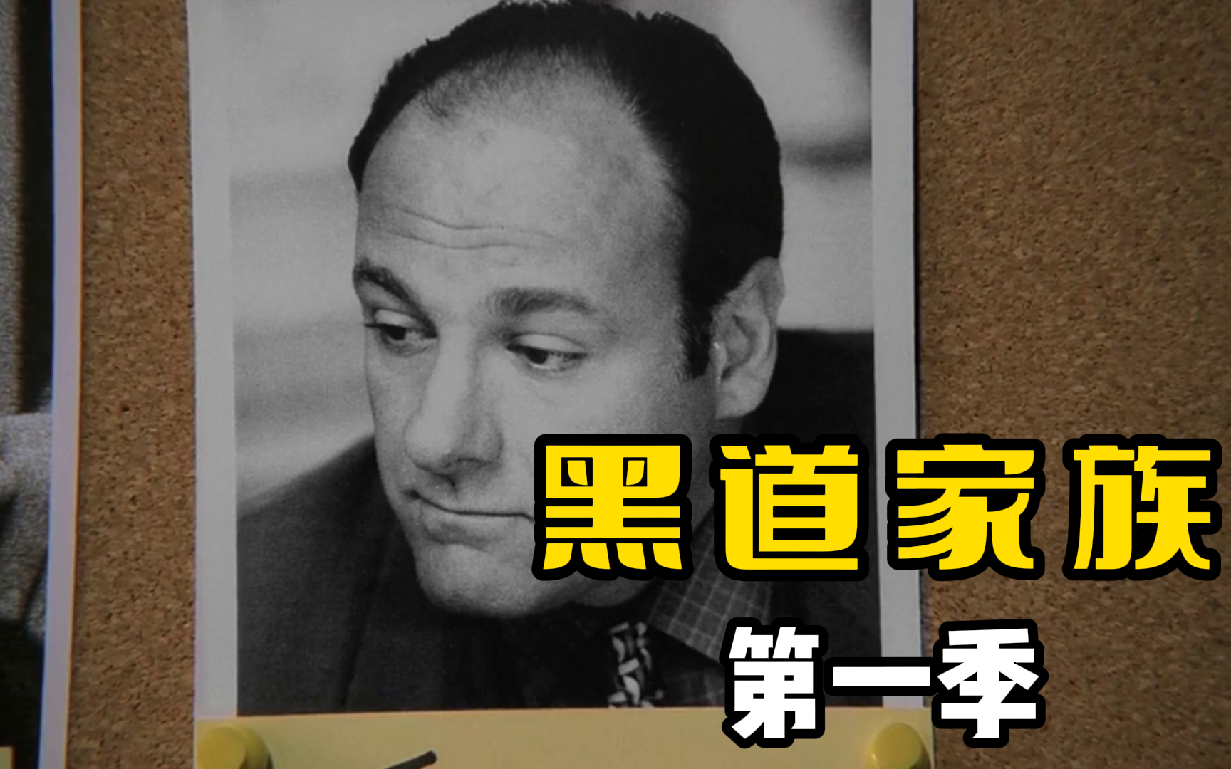 一口气看完经典美剧《黑道家族》第一季，全网最详细的解读系列！