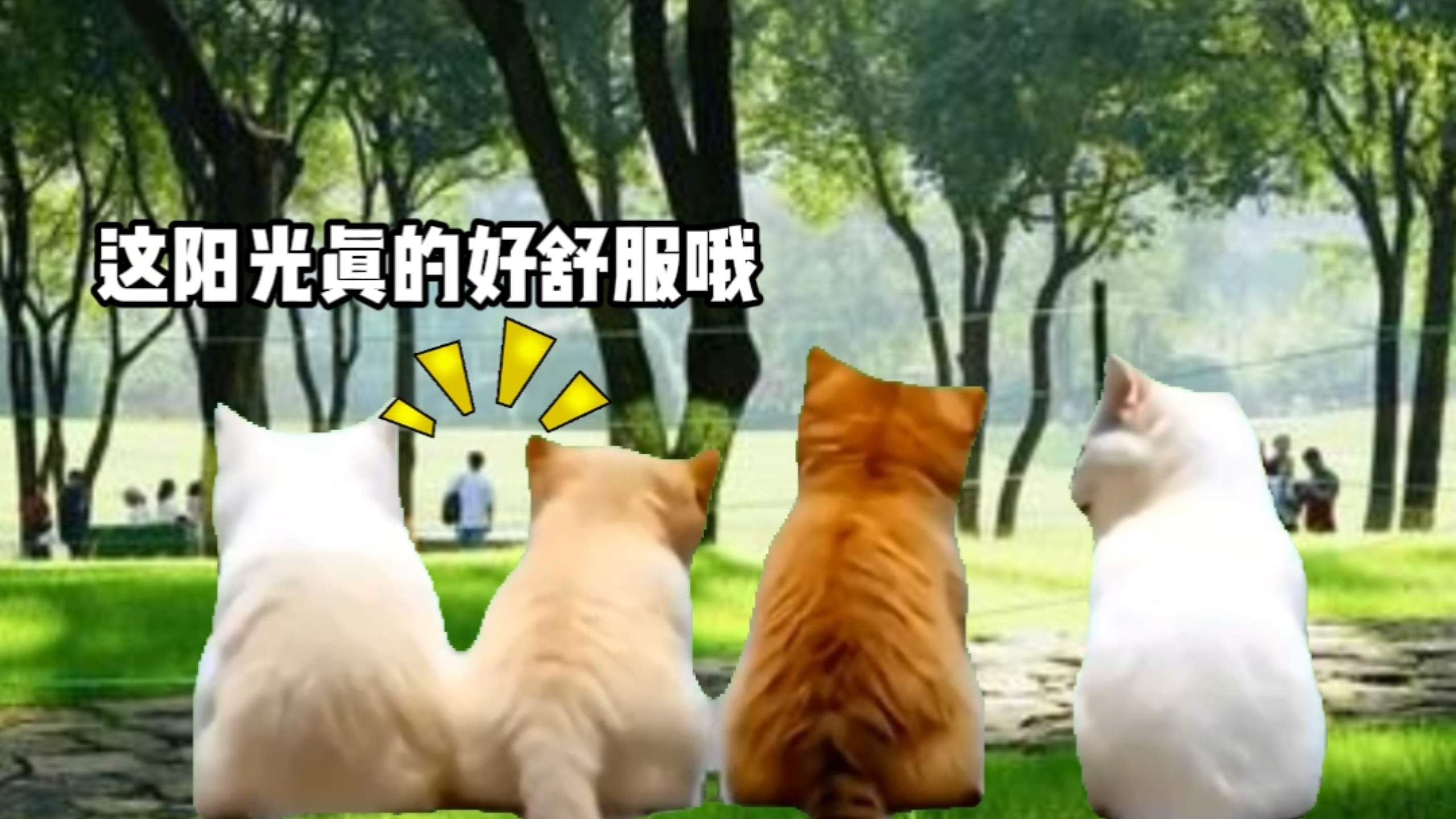 什么是幸福