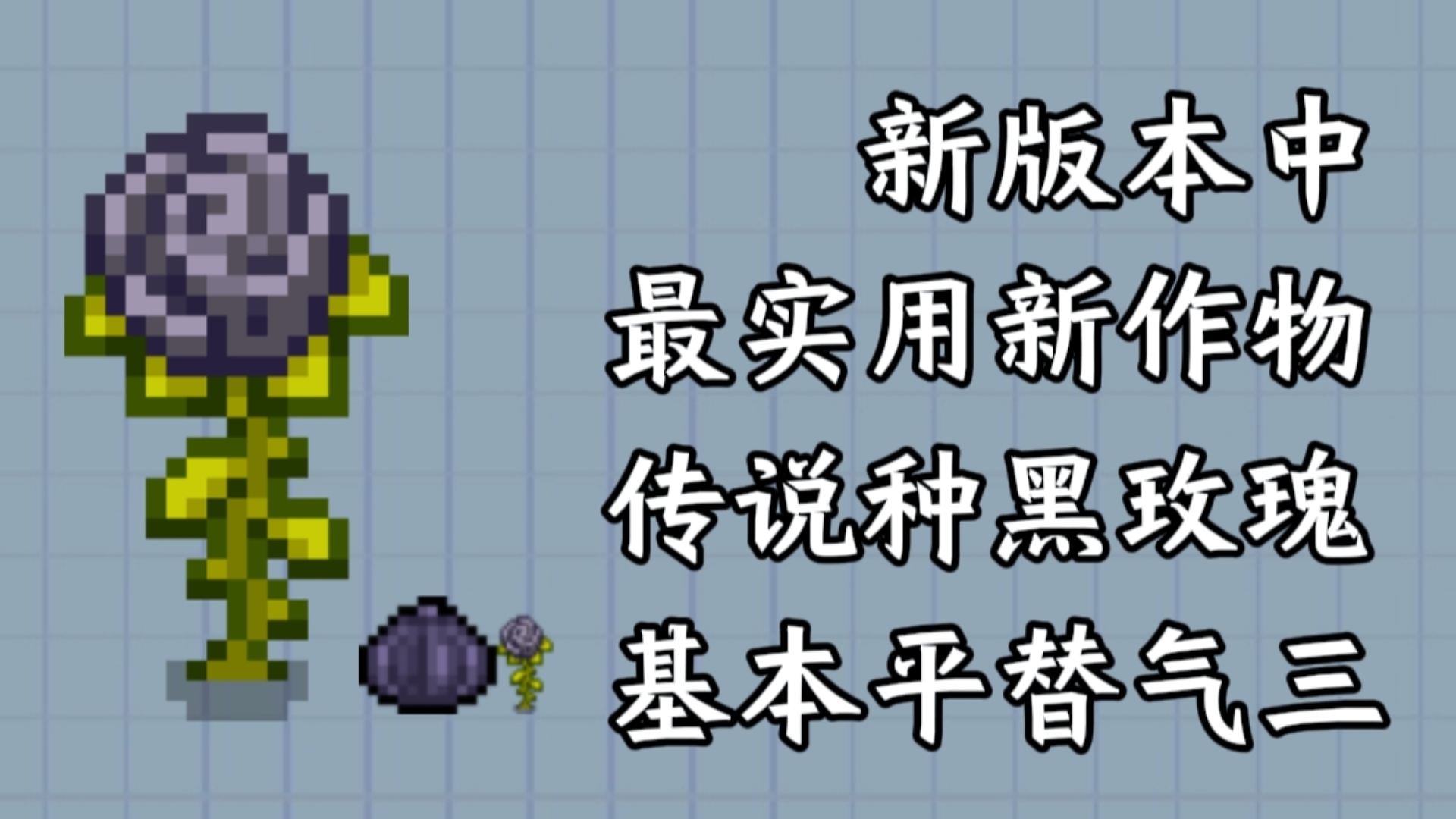 【元气骑士】黑玫瑰--新版本最实用作物，基本平替气三，游戏再添一神种