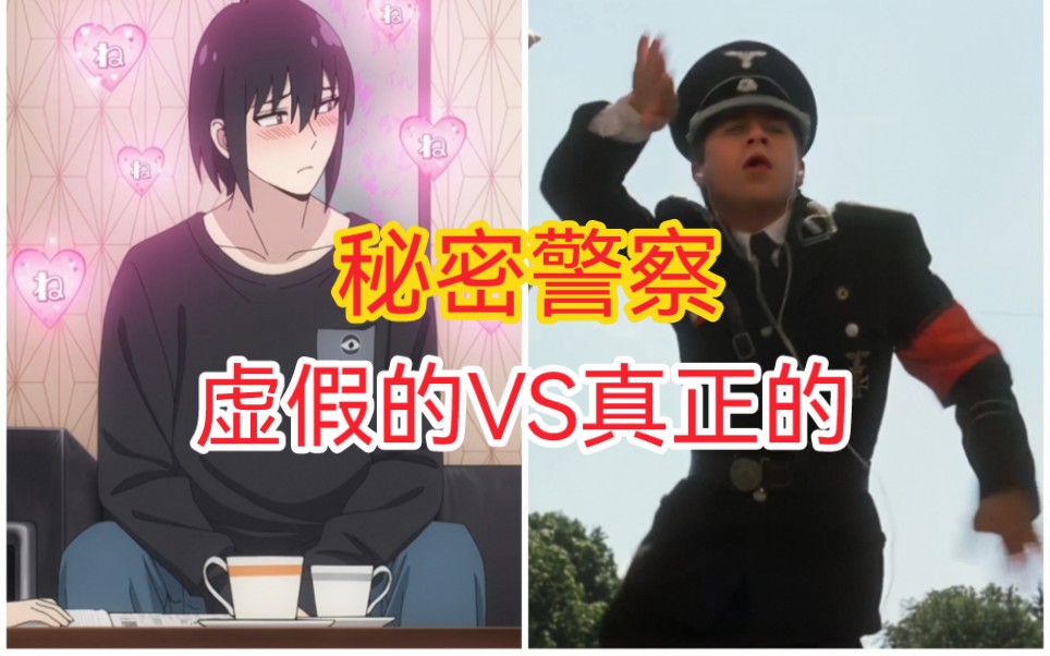 虚假的秘密警察 VS 真正的秘密警察