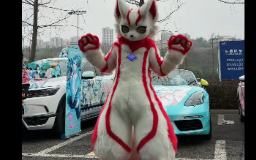 是猫之国派来地球新的勇士———梦比猫猫！
