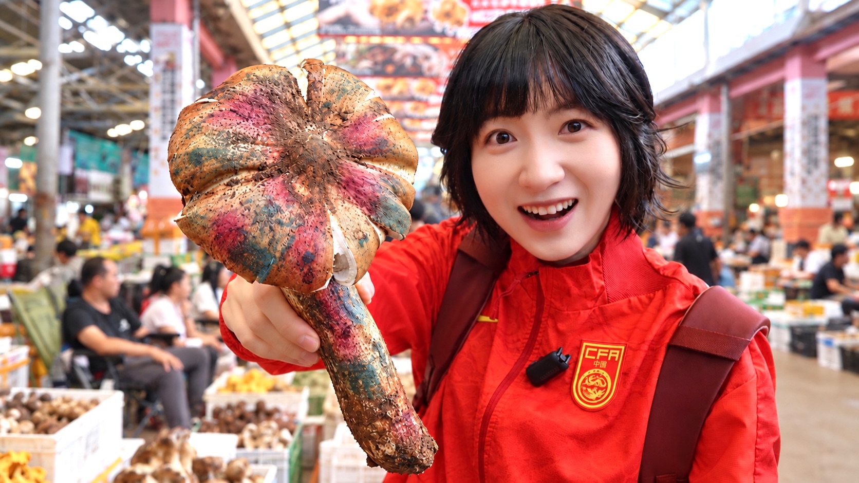 云南人为什么每年都要冒险吃菌子？