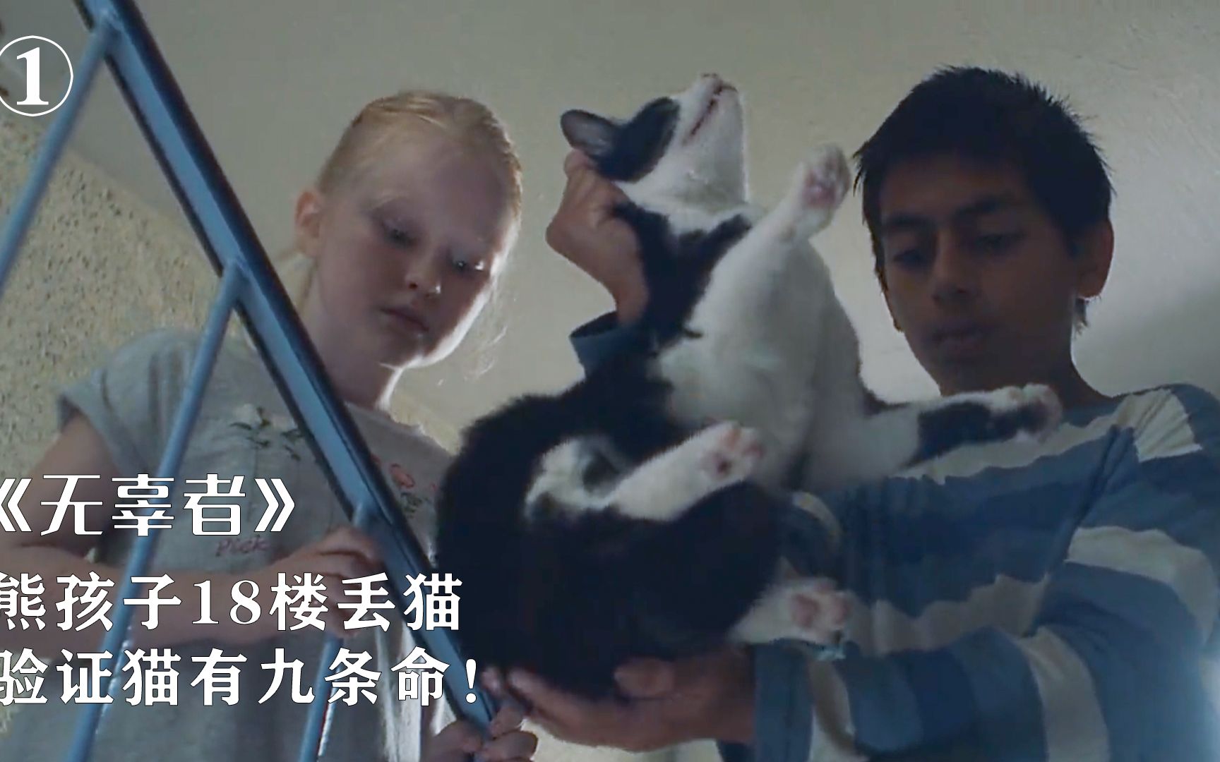 熊孩子将猫咪从18楼扔下，只为验证猫有九条命，新片《无辜者》