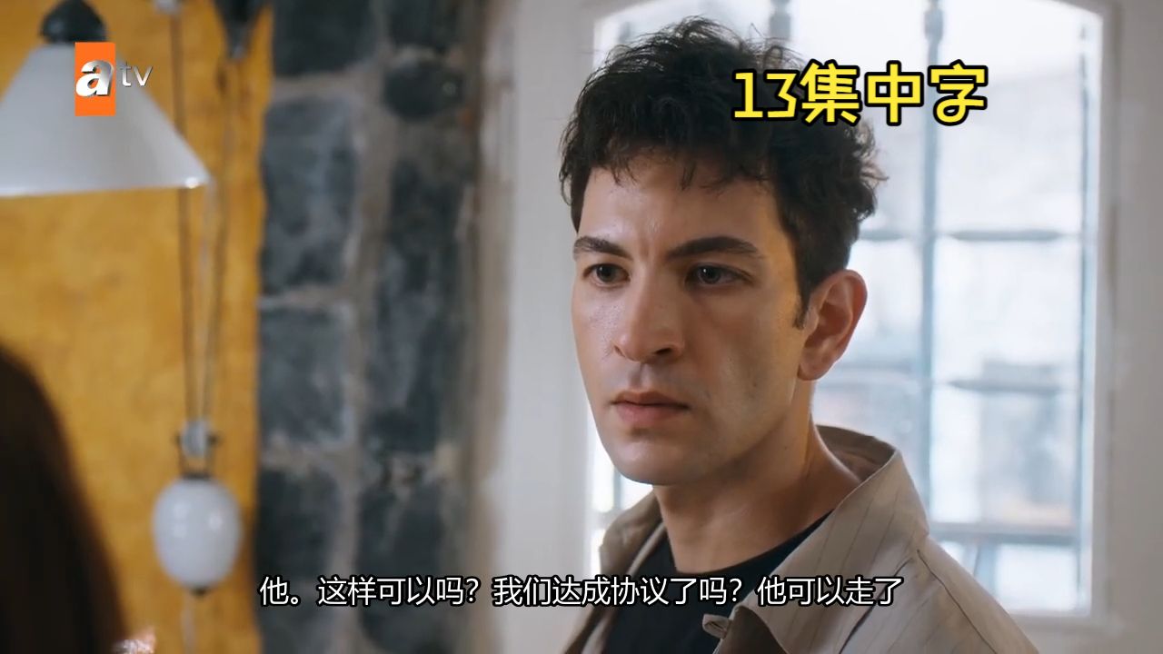 不过是伊斯坦布尔 Altı Üstü İstanbul13集中字