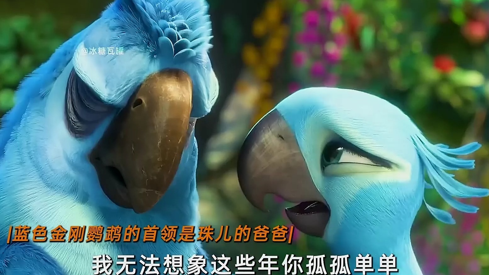 “也许我不是最有鸟样的鸟，但我绝对是个好鸟！”#动画 #里约大冒险2电影#评论区看正片
