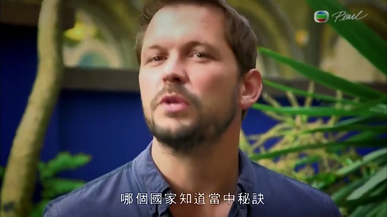 饮食 健康 减肥 食得最健康第一集[超清版]