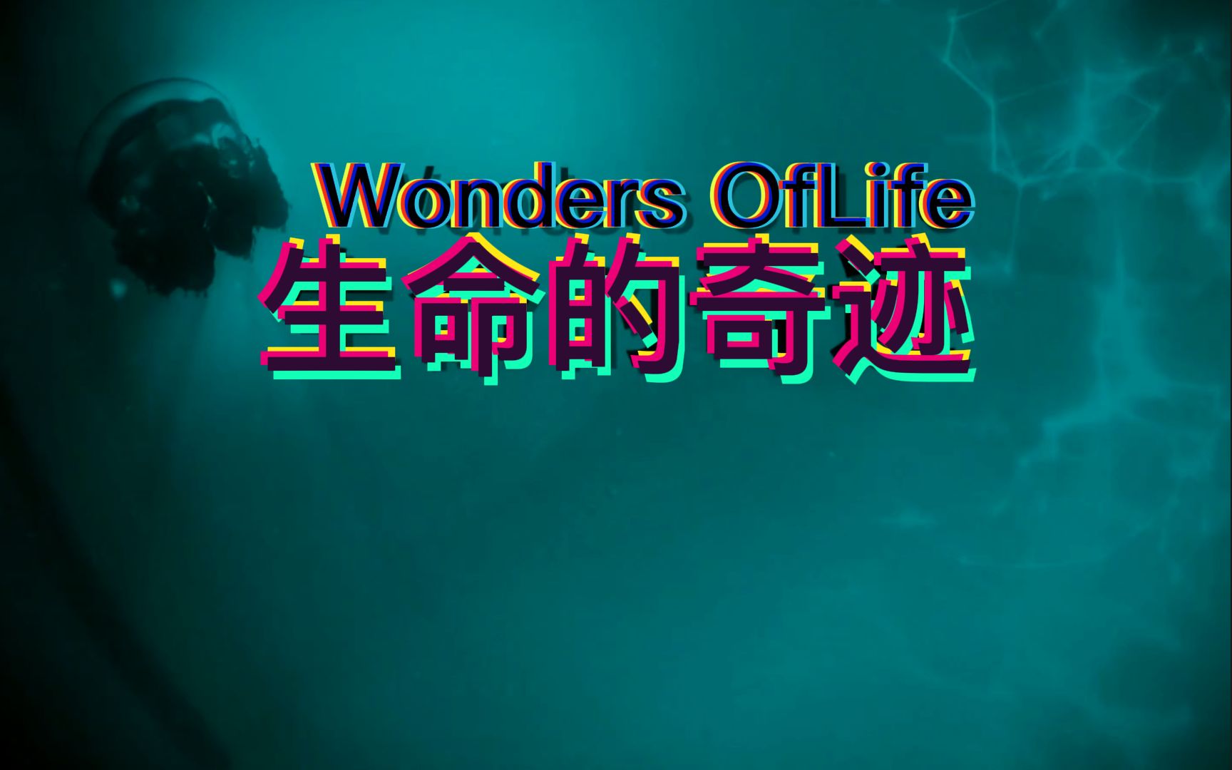 【纪录片】生命的奇迹-高清国语1080P60帧