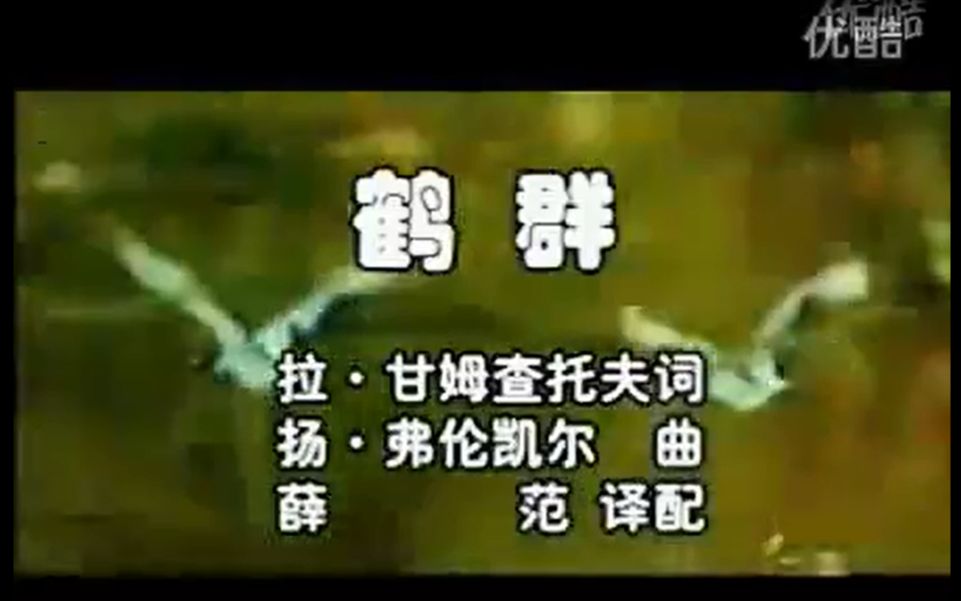 鹤群-Журавли（中文演唱版）