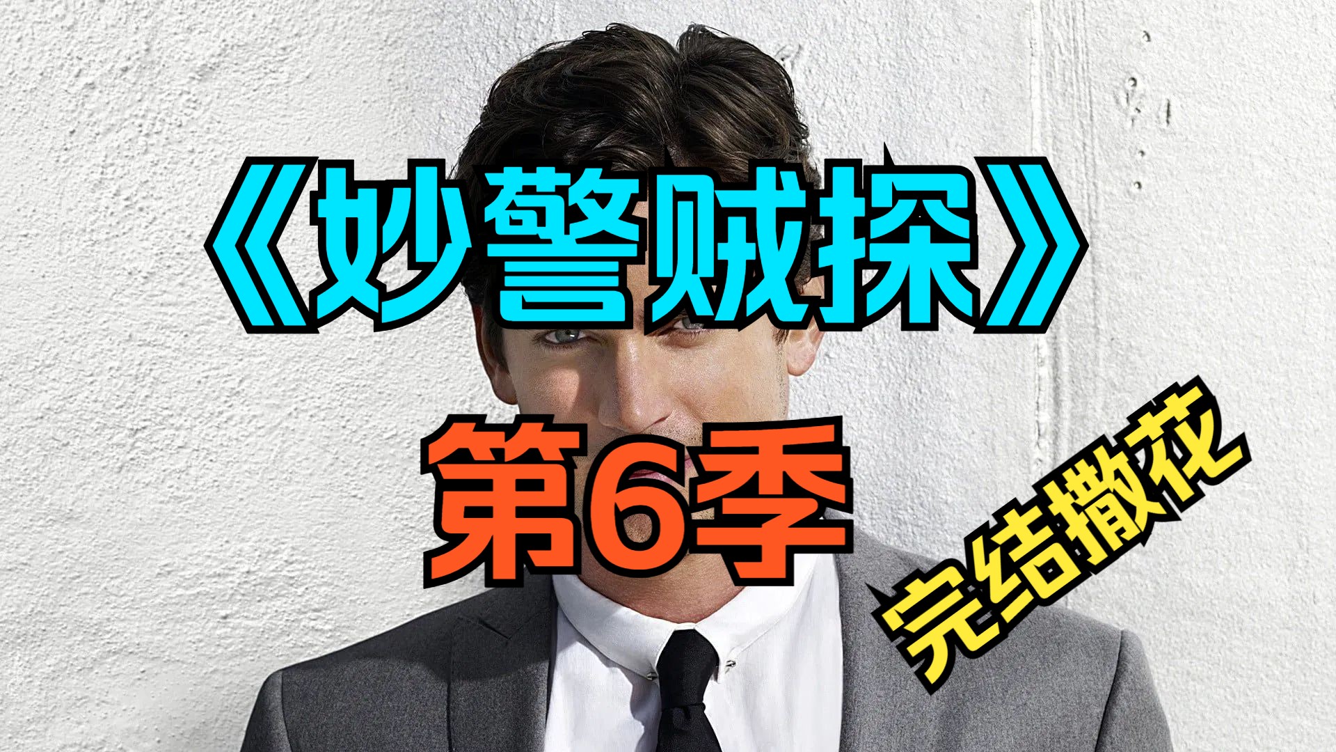 [电视剧] 美剧《妙警贼探》第6季「共6集」[完结]