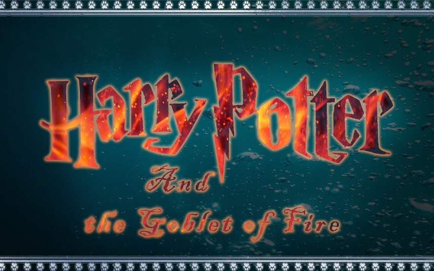 双语|英文有声|哈利·波特与火焰杯|Harry Potter and the Goblet of Fire by J.K. Rowling|英版
