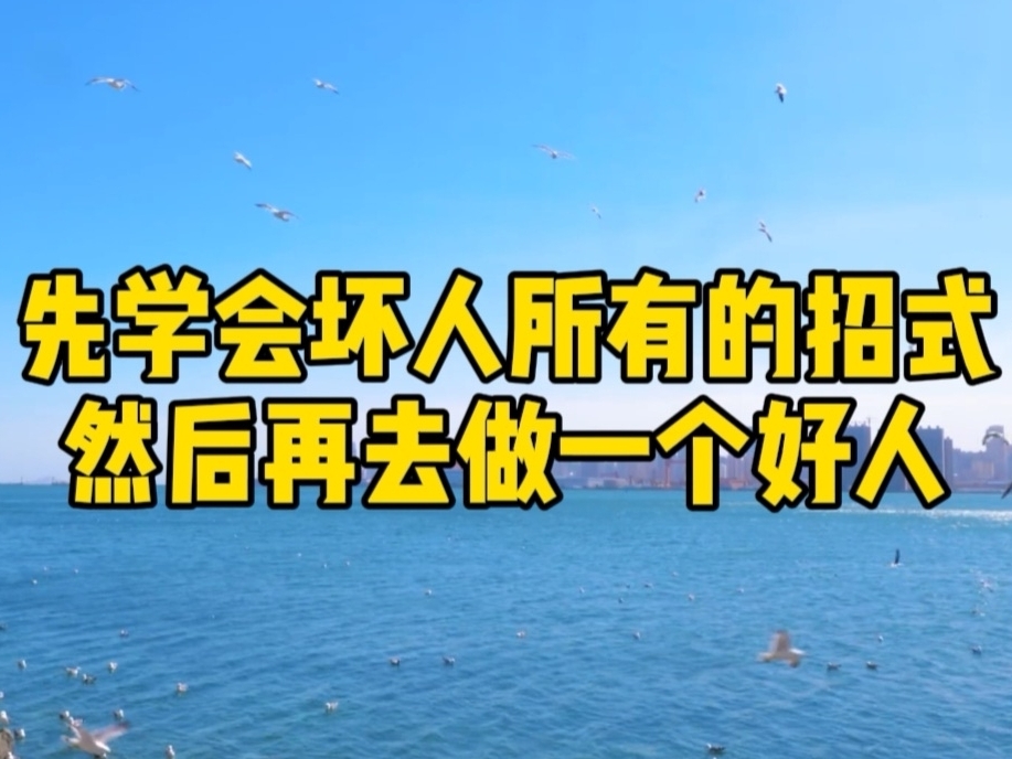 先学会坏人所有的招式，然后再去做一个好人
