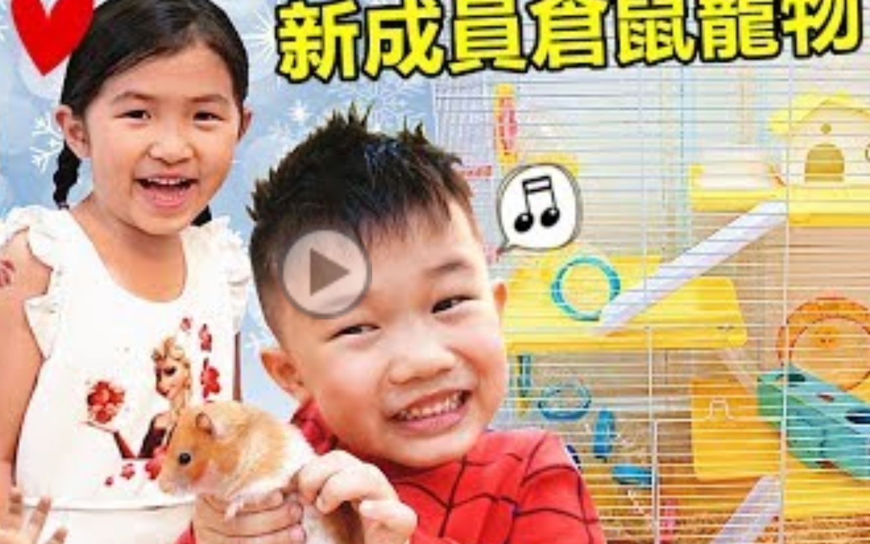 第一次養倉鼠寵物！Jo家來了新成員_真的好可愛喔！邊吃邊玩 寵物玩具開箱