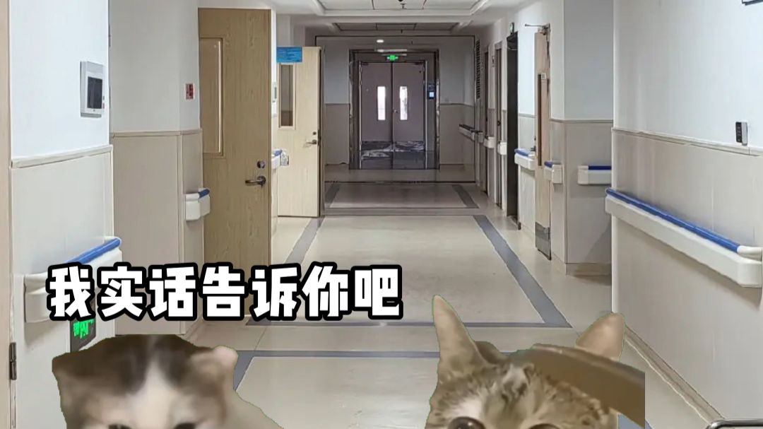 谎言之下皆是刺骨的真相