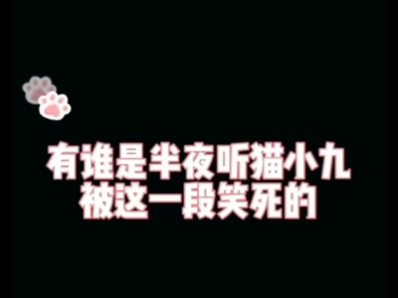 猫小九的搞笑片段
