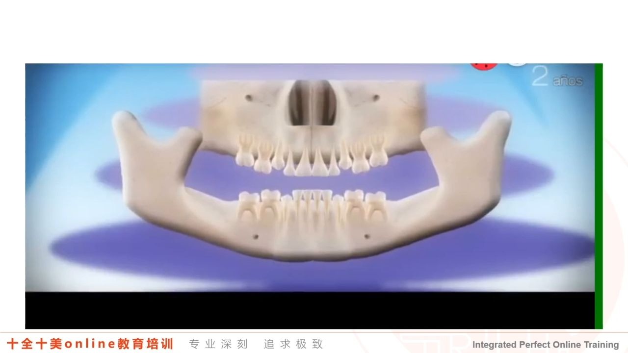 十全十美第三期早期矫治系列