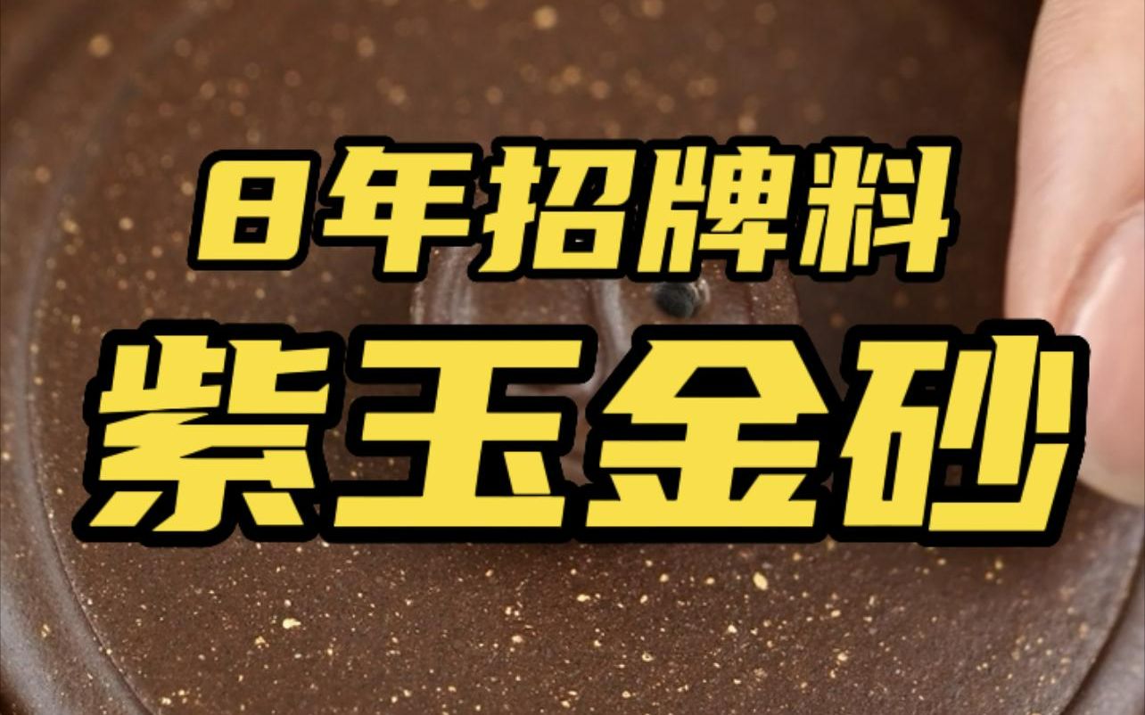 最受争议的紫玉金砂，到底是调砂，还是真正宝藏泥料？