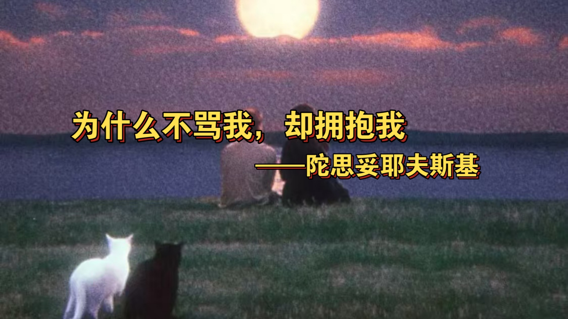 生命，不管死活的流淌我！