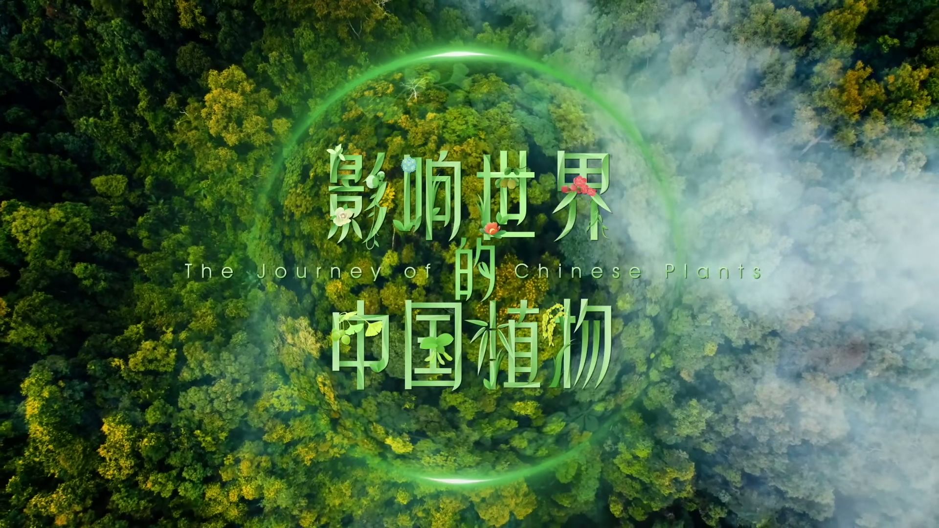 影响世界的中国植物  中文 720P/1080P 全集