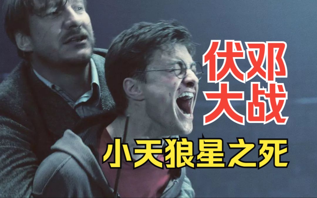 原著神秘事务司之战有多精彩？《哈利波特与凤凰社》超详细原著解读！哈利波特电影与小说对比46