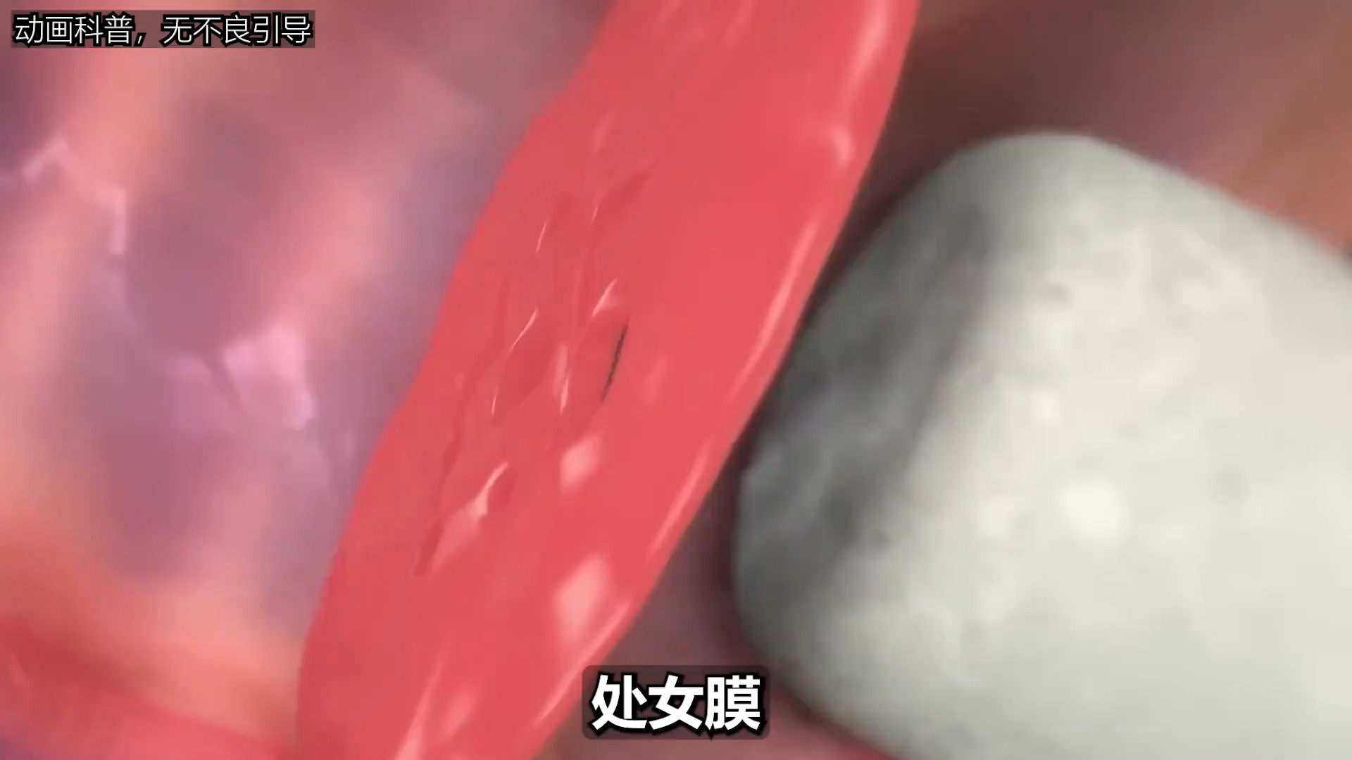 处女膜，男生的必修课